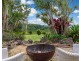 191 Repentance Creek Road, Rosebank NSW 2480