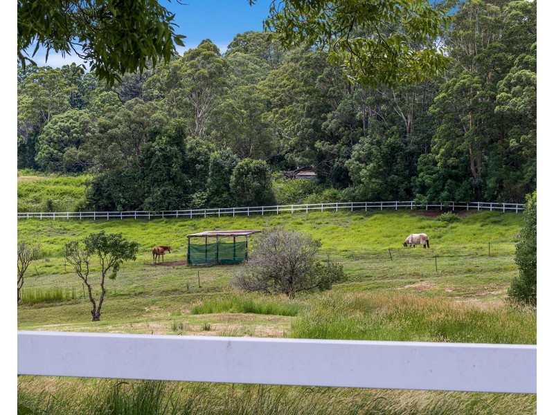 191 Repentance Creek Road, Rosebank NSW 2480