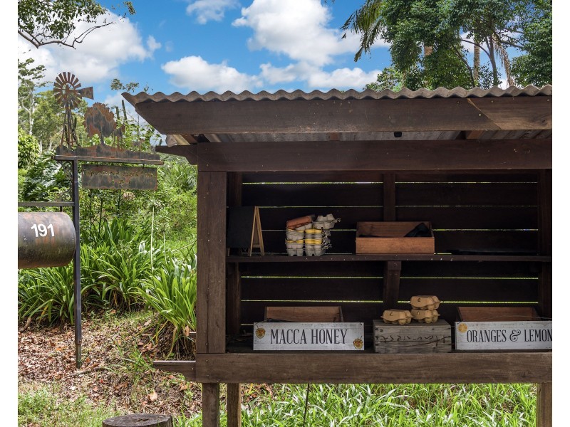 191 Repentance Creek Road, Rosebank NSW 2480