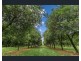 191 Repentance Creek Road, Rosebank NSW 2480