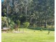 Crabbes Creek NSW 2483