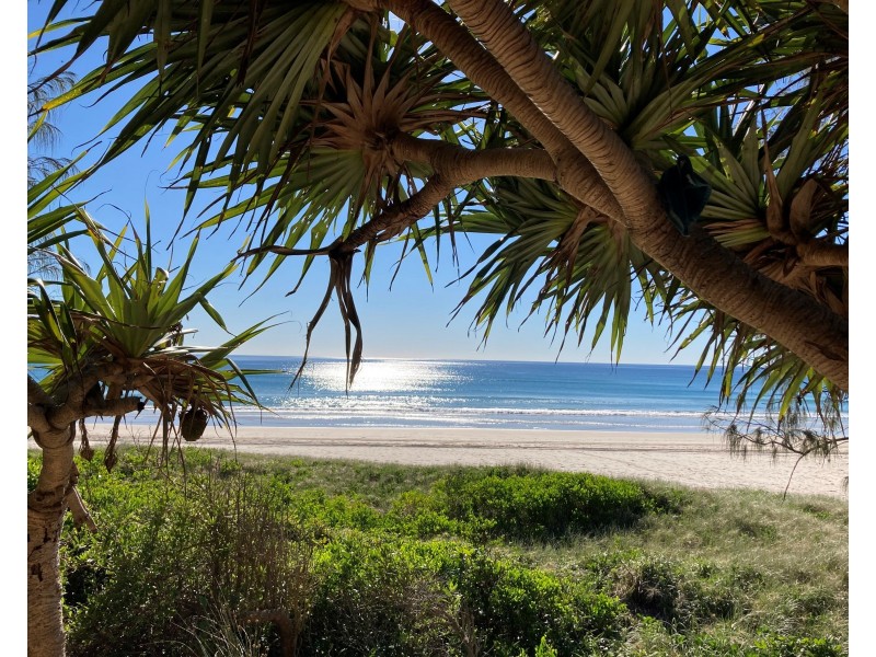 Crabbes Creek NSW 2483