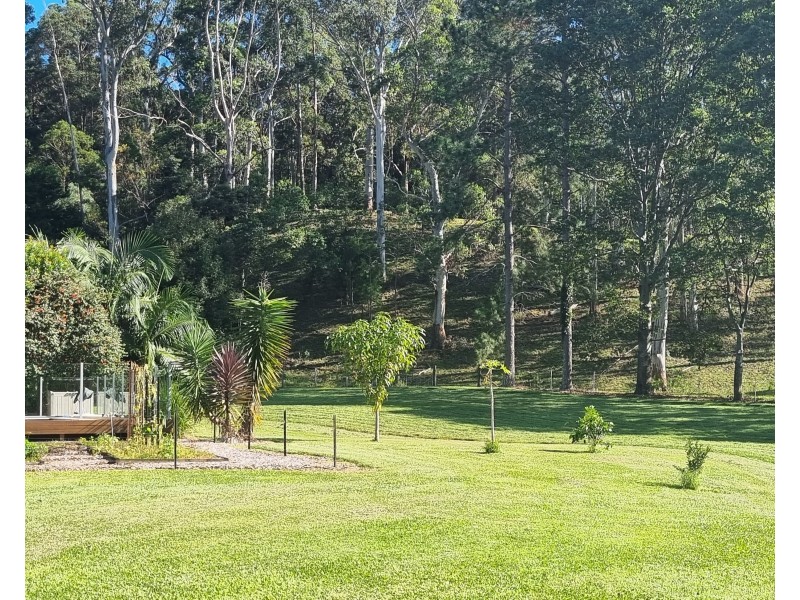 106 CRABBES CREEK ROAD, Crabbes Creek NSW 2483