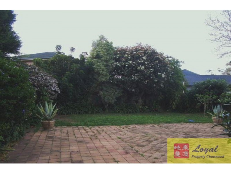 133 Centennial Avenue, Lane Cove NSW 2066