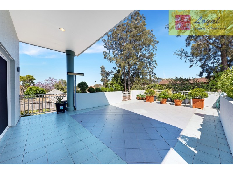 14 Daisy Street, Chatswood NSW 2067