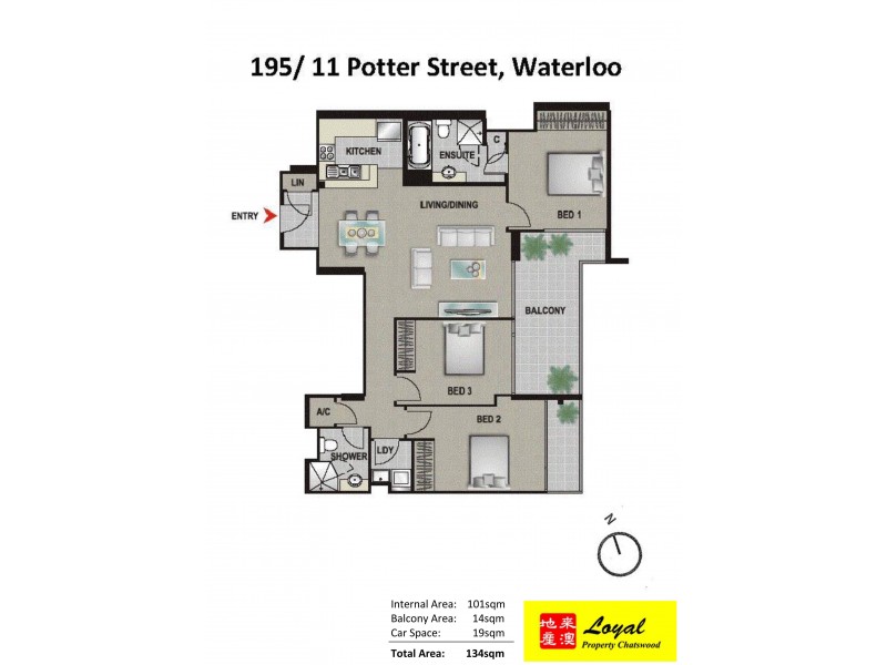 195/11 Potter Street, Waterloo NSW 2017 Floorplan