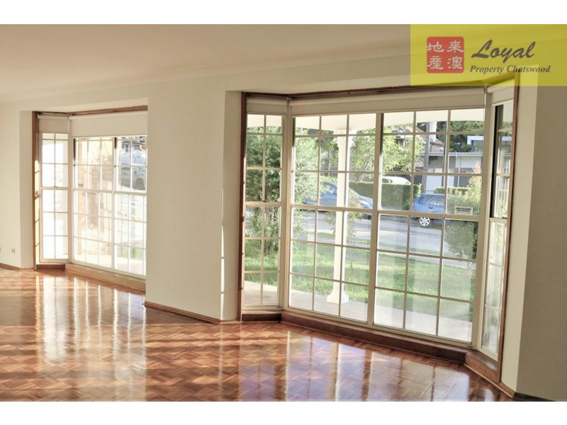 31 Olga Street, Chatswood NSW 2067