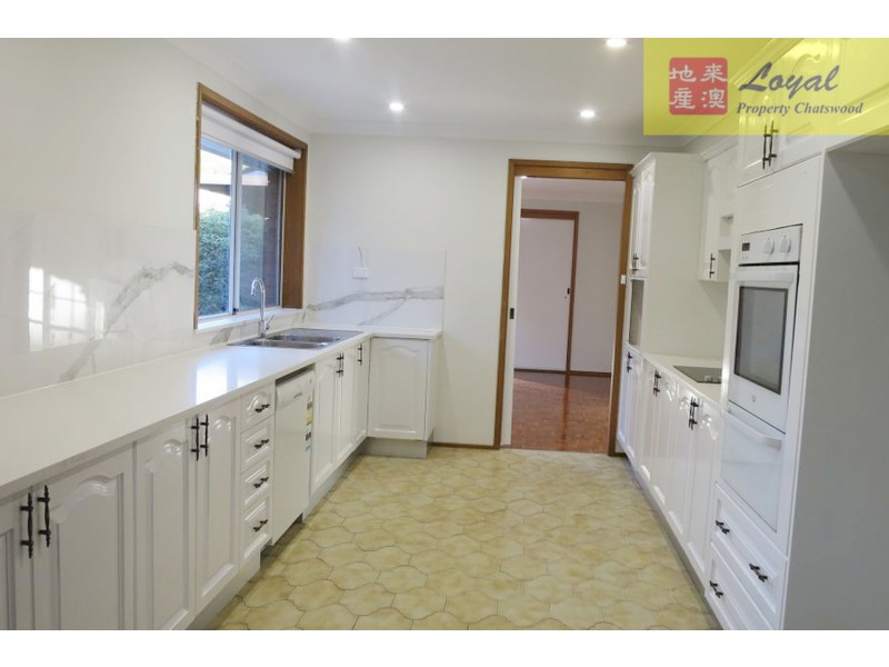 31 Olga Street, Chatswood NSW 2067