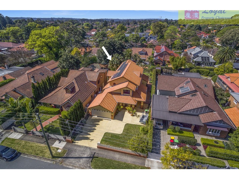 21 Holland Street, Chatswood NSW 2067