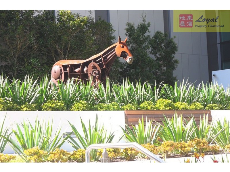 603/7 Railway Street, Chatswood NSW 2067