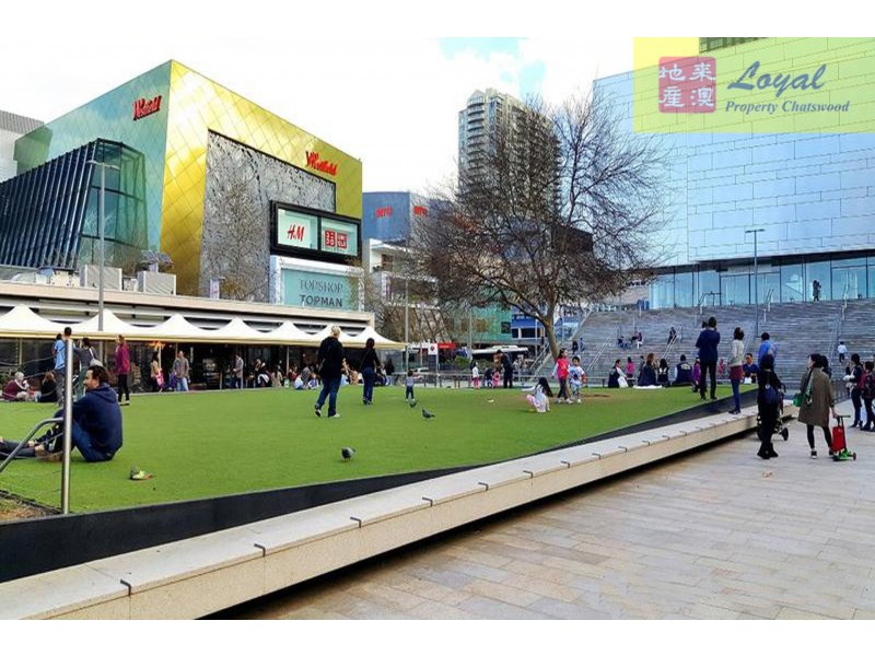 214/14 Brown Street, Chatswood NSW 2067