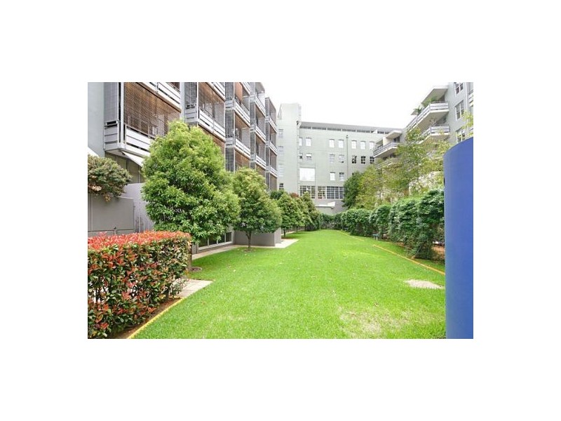 50/15-19 Boundary Street, Rushcutters Bay NSW 2011
