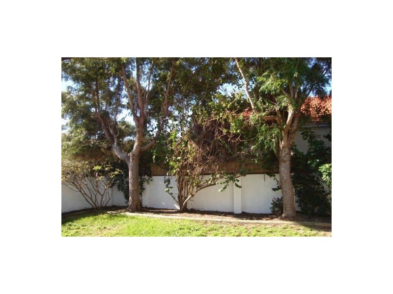 36 Plowman Street, North Bondi NSW 2026