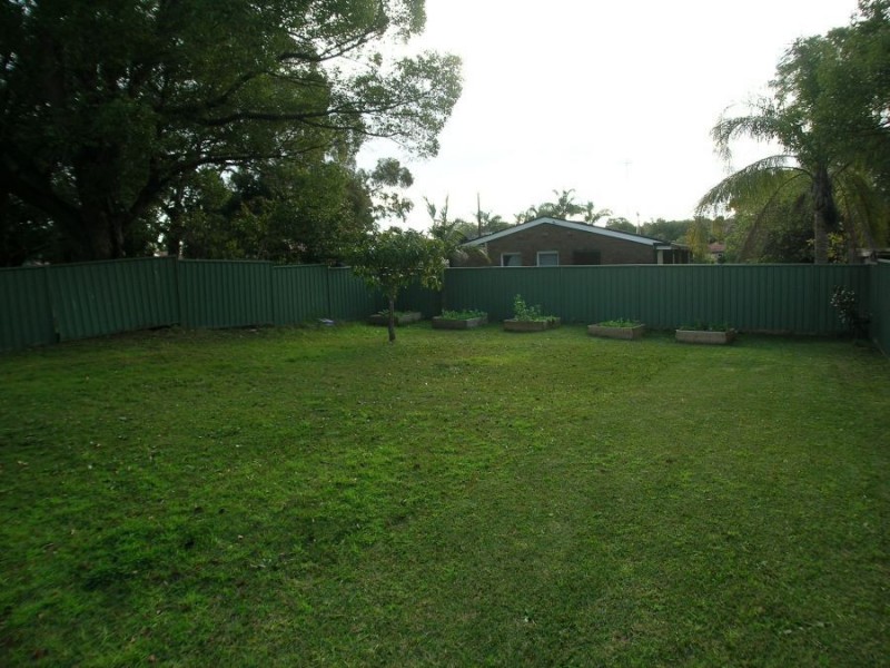 1 Jarrett Street, Clemton Park NSW 2206