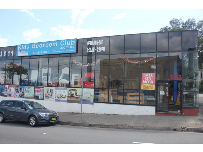 233 Princes Hwy, St Peters NSW 2044