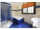 56 Beauchamp Street, Wiley Park NSW 2195