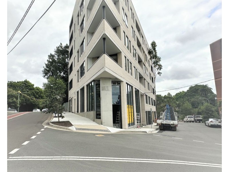 Dulwich Hill NSW 2203