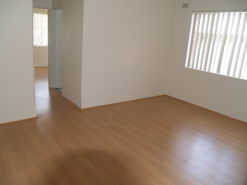 41 Augusta Street, Punchbowl NSW 2196