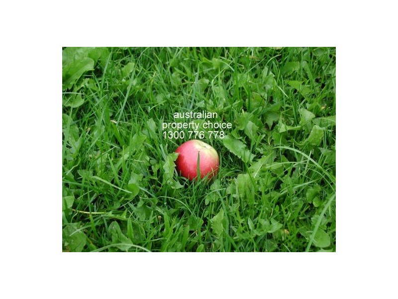 110 Cameron Street, Wauchope NSW 2446