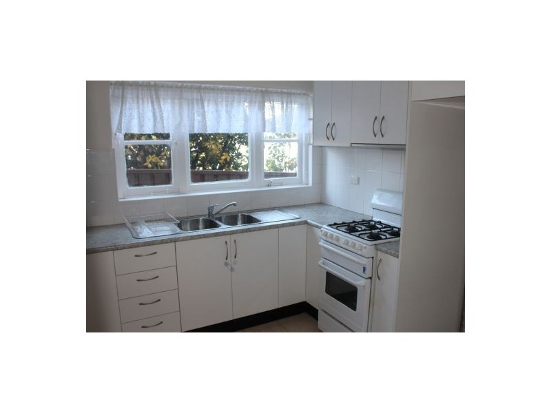 19 Angus St, Earlwood NSW 2206