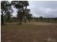 10 Jillaroo Way, Muswellbrook NSW 2333