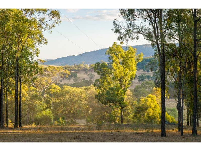 298 Dry Creek Road, Scone NSW 2337