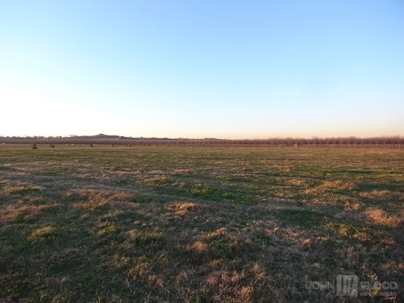 1461 Denman Road, Muswellbrook NSW 2333