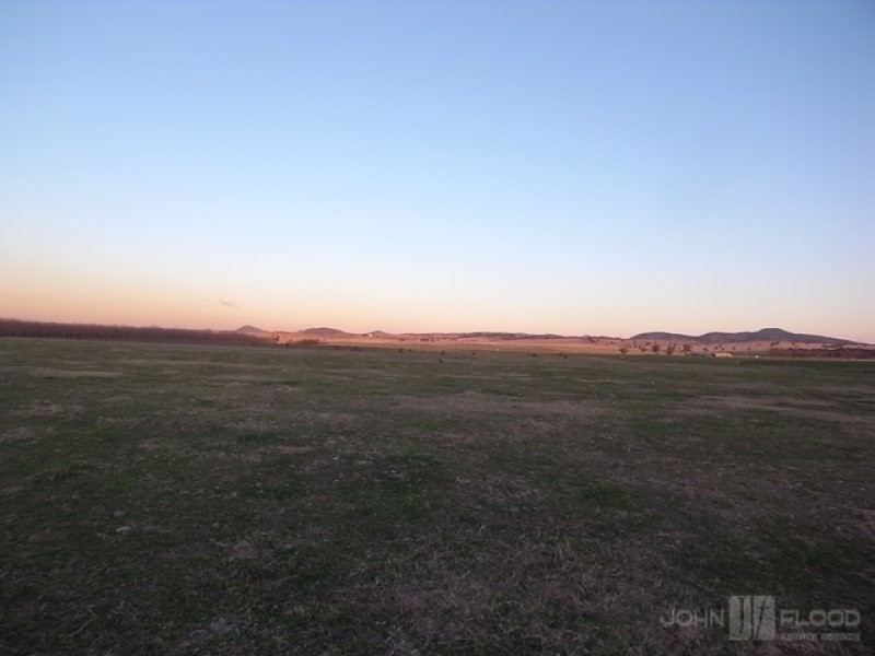 1461 Denman Road, Muswellbrook NSW 2333