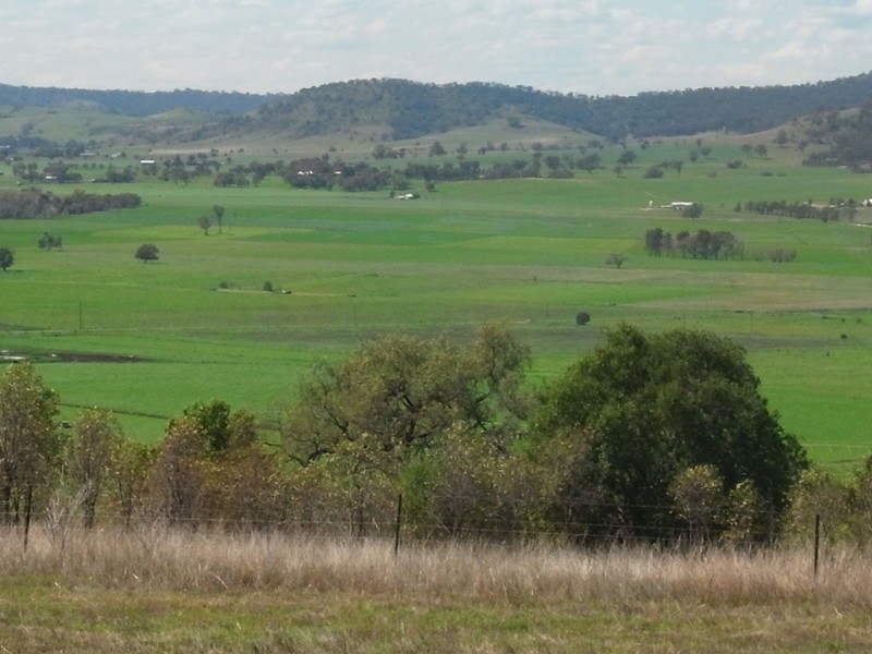 1/262 – 264 Bureen Road, Denman NSW 2328