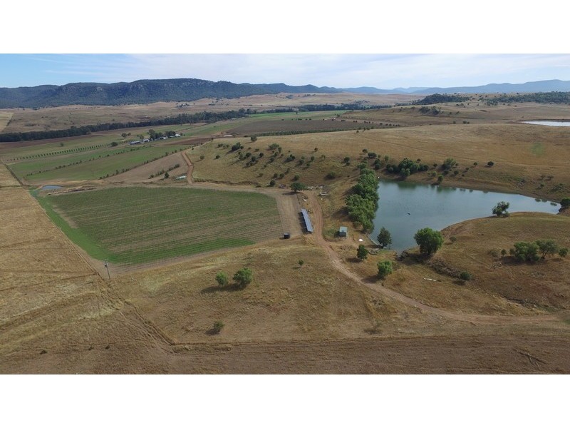 4/849 Martindale Road, Denman NSW 2328