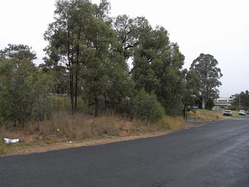 Lot 11 Common Road, Muswellbrook NSW 2333