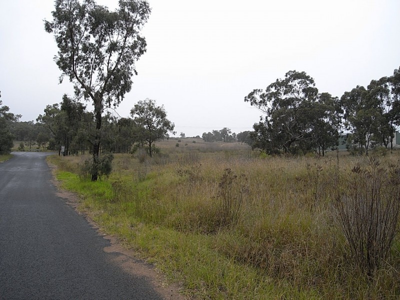 Lot 19 Common Road, Muswellbrook NSW 2333
