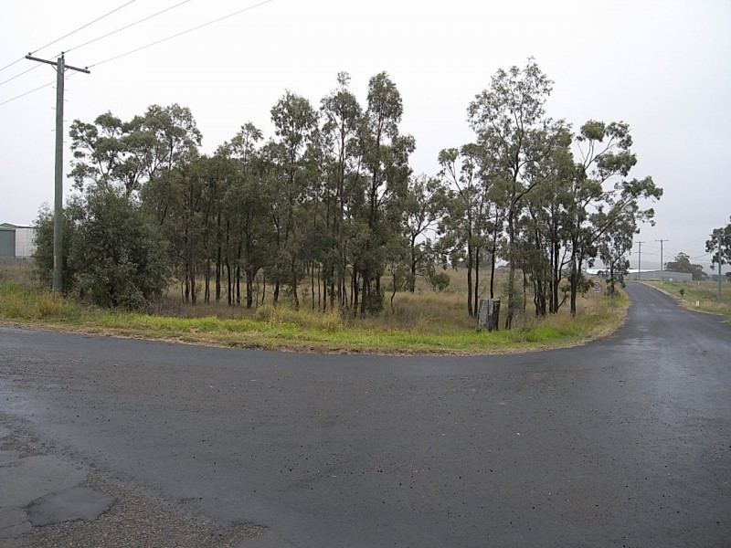 Lot 19 Common Road, Muswellbrook NSW 2333