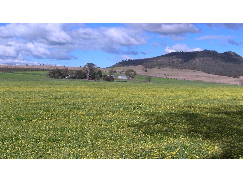 840-849 Martindale Road, Denman NSW 2328
