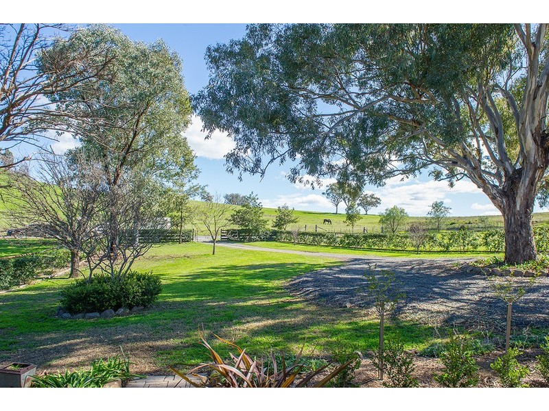 2366 Waverley Road, Timor Via -, Scone NSW 2337