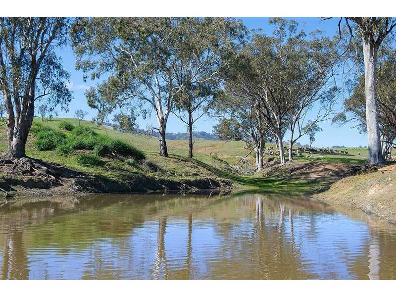 2366 Waverley Road, Timor Via -, Scone NSW 2337