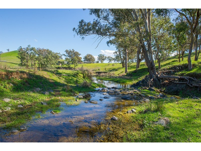 2366 Waverley Road, Timor Via -, Scone NSW 2337