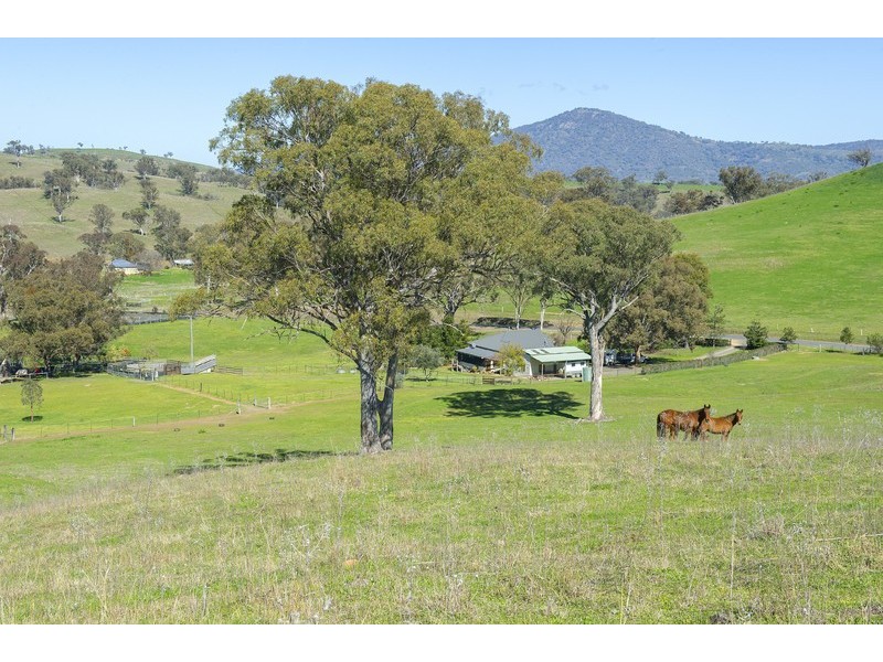 2366 Waverley Road, Timor Via -, Scone NSW 2337