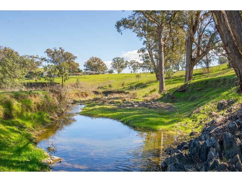 2366 Waverley Road, Timor Via -, Scone NSW 2337