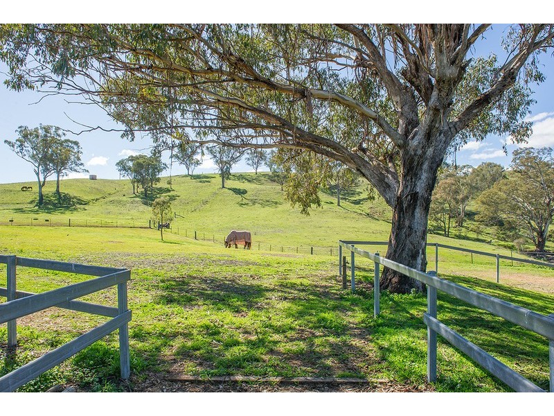 2366 Waverley Road, Timor Via -, Scone NSW 2337