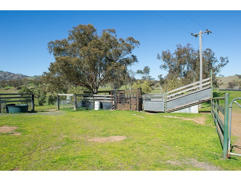 2366 Waverley Road, Timor Via -, Scone NSW 2337