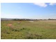 400 Denman Road, Muswellbrook NSW 2333