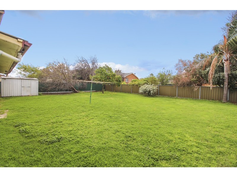 20 Bingle Street, Scone NSW 2337