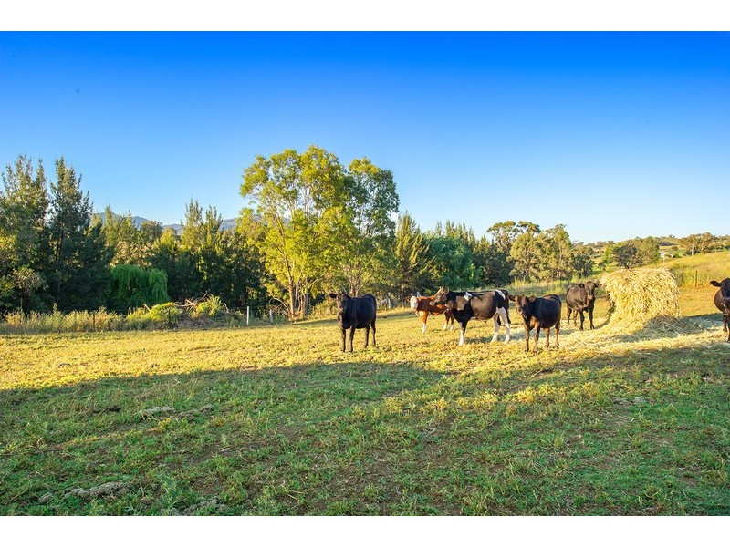 1967 Hunter Road, Gundy NSW 2337