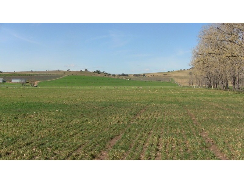 840-849 Martindale Road, Denman NSW 2328