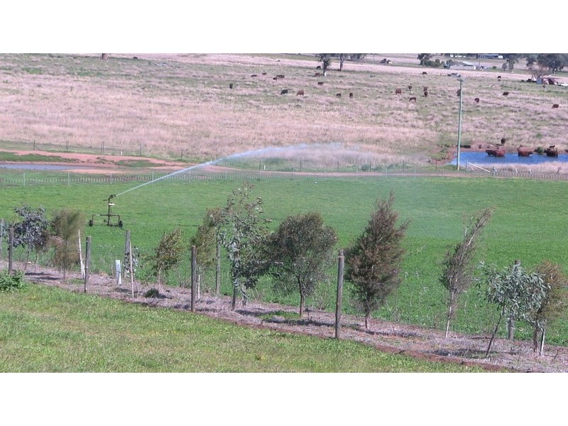 840-849 Martindale Road, Denman NSW 2328