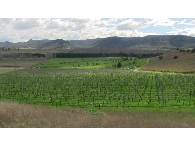 840-849 Martindale Road, Denman NSW 2328