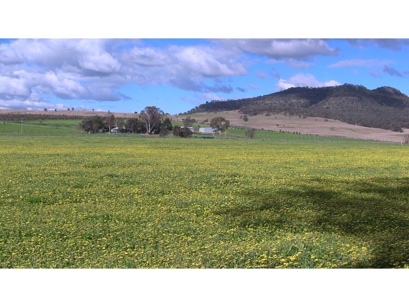 840-849 Martindale Road, Denman NSW 2328