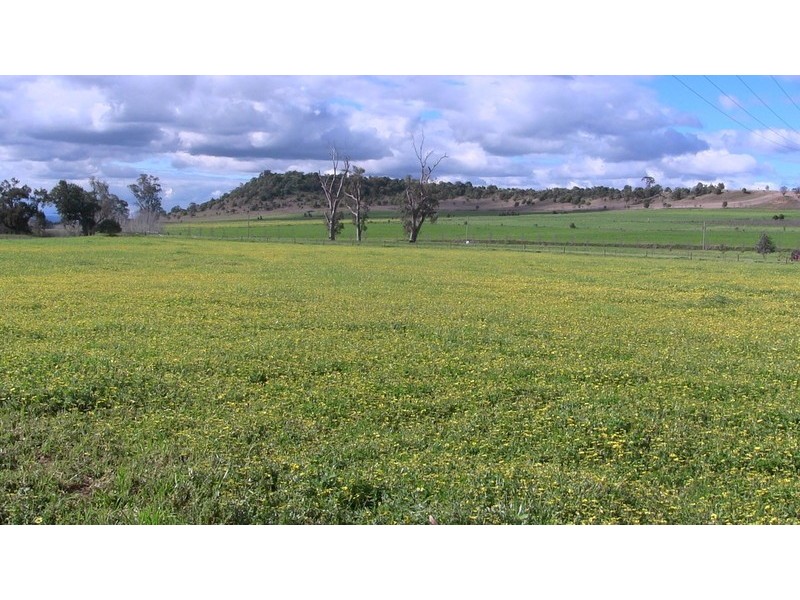 840-849 Martindale Road, Denman NSW 2328