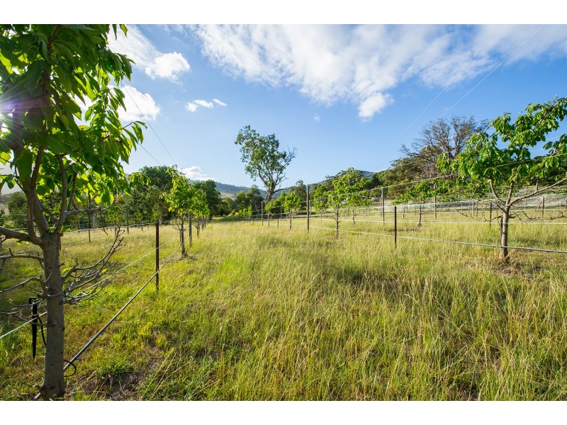 Lot 22 Glenalvon Road, Murrurundi NSW 2338
